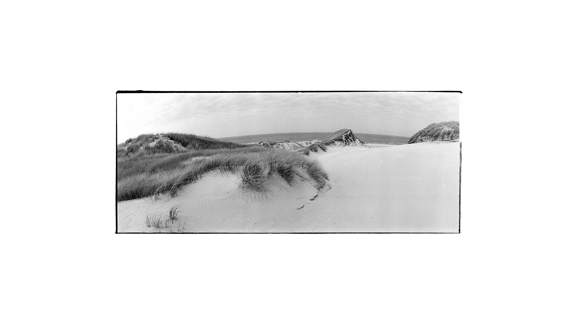 Dänemark Henne Strand Dünen am Ende der Welt