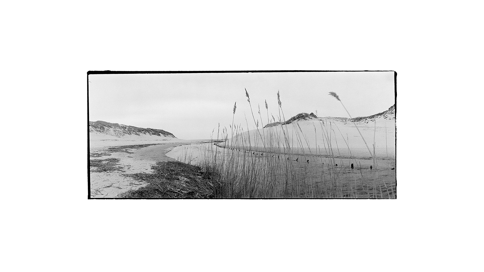Dänemark Henne Molle A Panorama 03